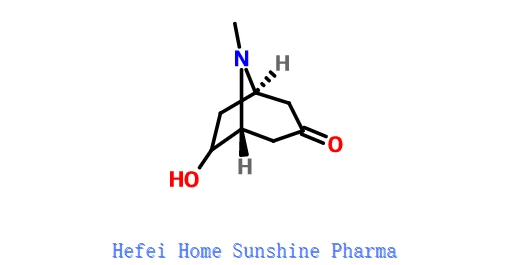 (+-)-exo-6-Hydroxytropinone CAS 5932-53-6