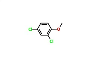 2,4-DICHLOROANISOLE CAS 553-82-2