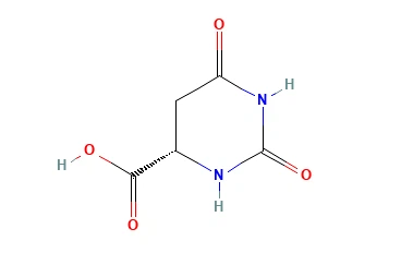 Asam L-4,5-dihydroorotic CAS 5988-19-2