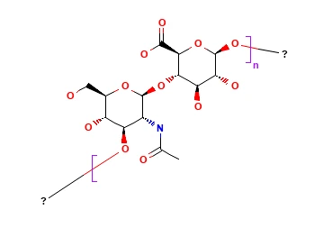 Asam Hyaluronic CAS 9004-61-9